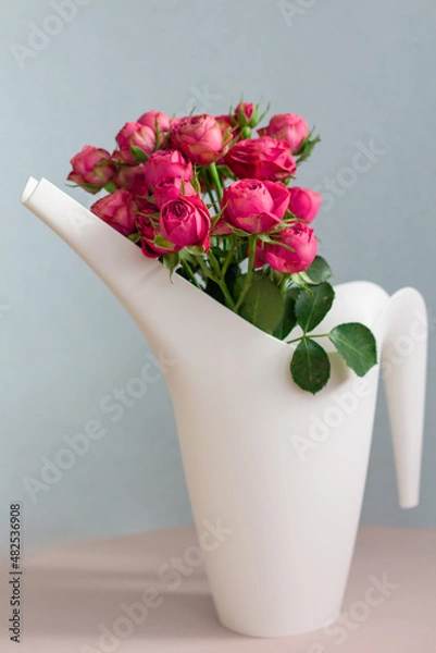 Fototapeta bouquet of pink roses isolated, garden's flowers are in a watering can closeup