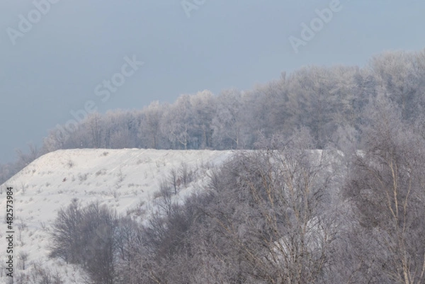 Obraz Forest in the snow on a hill