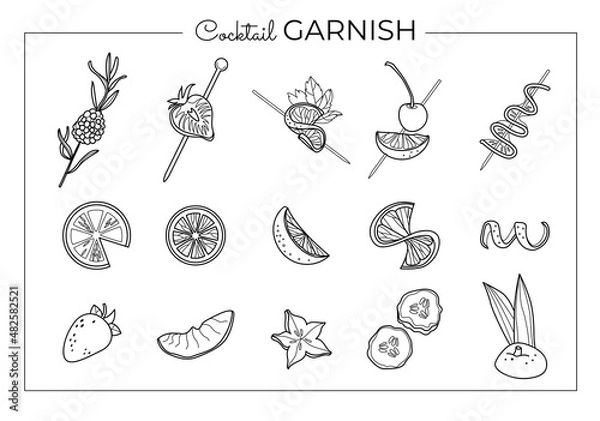 Fototapeta Vector set of tasty cocktail garnish. Vector illustration