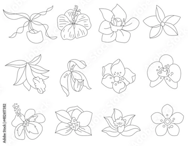 Fototapeta Stylized tropic flowers. Objects isolated on white background. Black and white contour monochrome illustration.  Coloring book style.