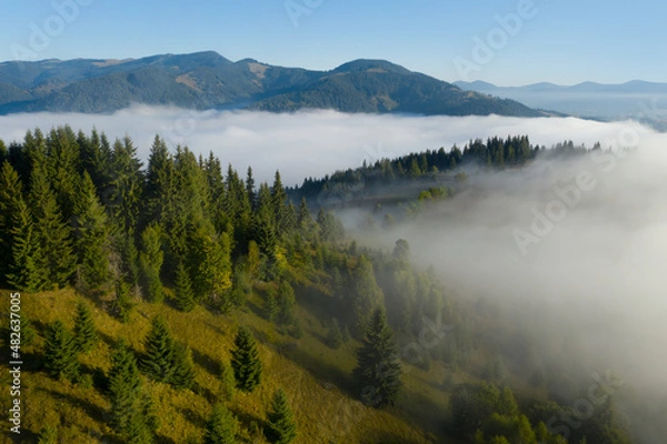 Fototapeta Aerial view of beautiful landscape with misty forest in mountains