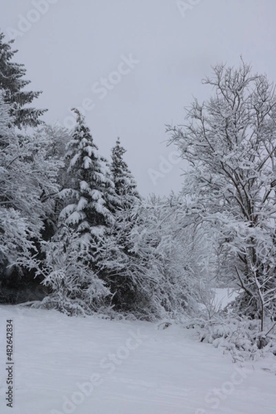 Obraz Idylle im Winterwald