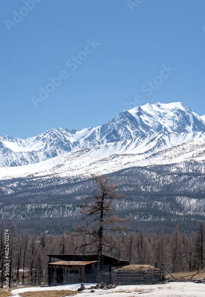 Obraz forest winter mointain