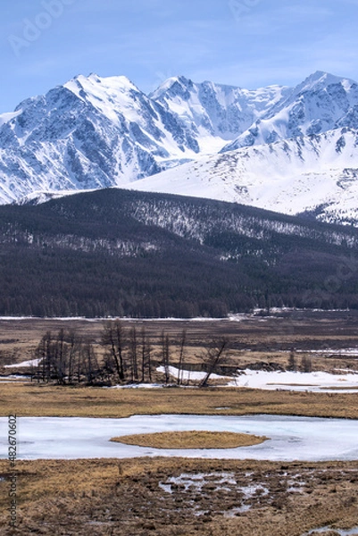 Obraz forest winter mointain