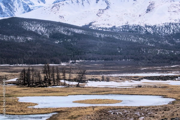 Obraz forest winter mointain