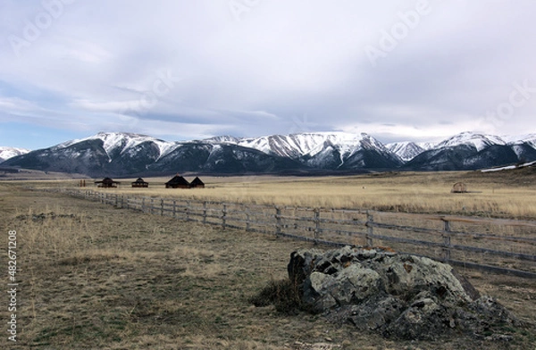 Obraz sheep in the mountain