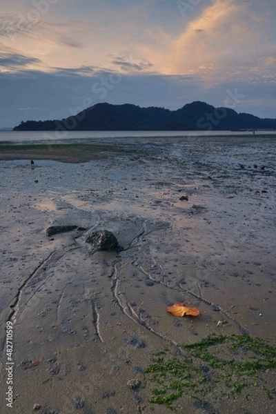 Obraz Leaf on a beach during low tide