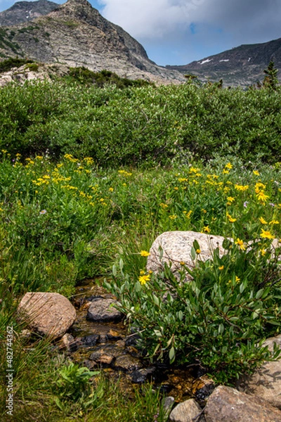 Obraz landscape with flowers and trees