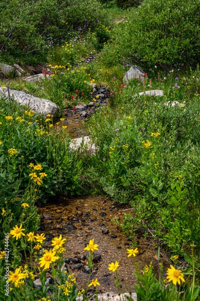 Obraz path in the park