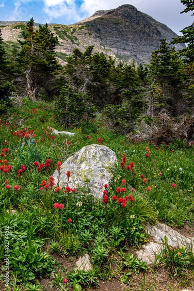 Obraz landscape with flowers