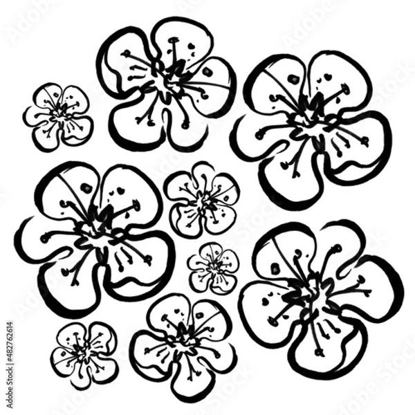 Obraz Marker black white flower with leaves hand drawn line stroke strawberries