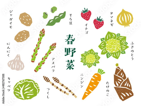 Obraz 春野菜　レトロなベクターイラスト　セット