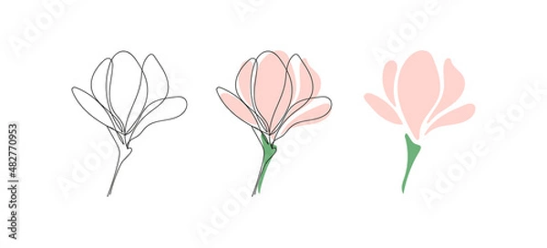 Obraz Set of three Cute blooming magnolia twigs.Vector illustration.