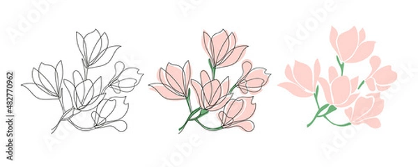 Obraz Set of three Cute blooming magnolia twig.Vector outline and flet illustrations.