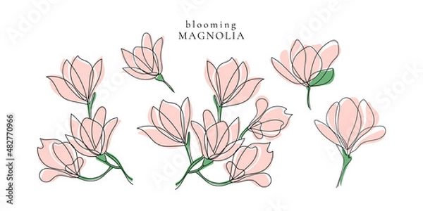 Obraz Set of spring blooming magnolia twigs,vector aesthetic contour illustration,outline hand drawing