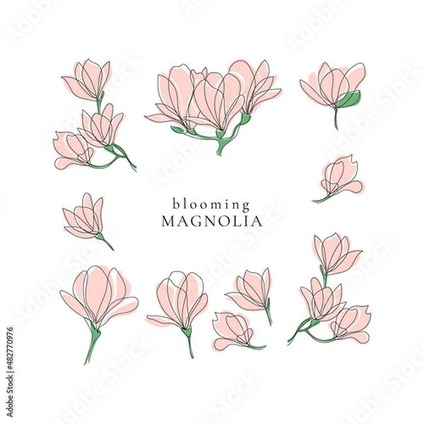 Obraz Set of spring blooming magnolia twigs,vector aesthetic contour illustration,outline hand drawing