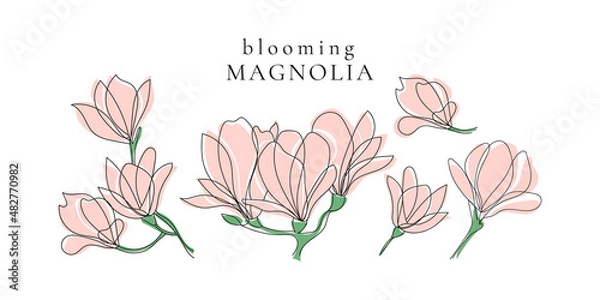 Obraz Set of spring blooming magnolia twigs,vector illustration,outline hand drawing
