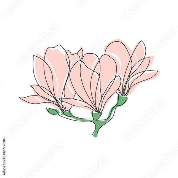 Obraz Cute outline drawing of blooming magnolia twig.Vector aesthetic contour illustration