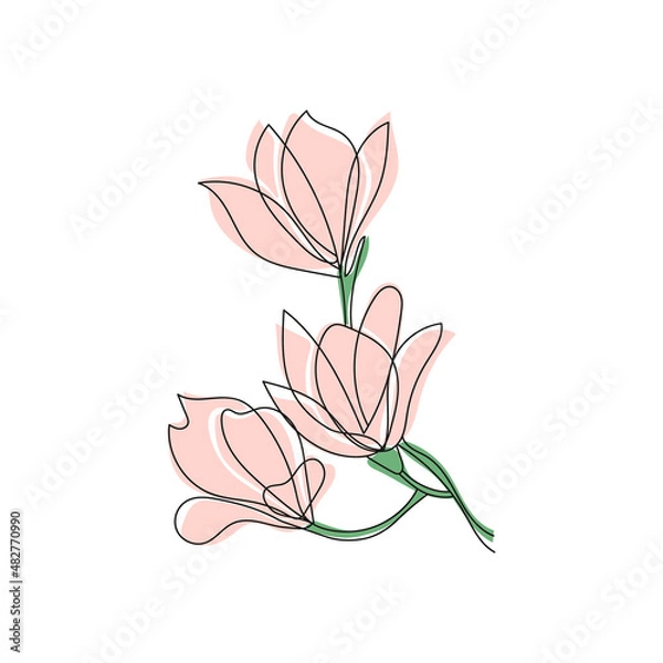 Fototapeta Cute outline drawing of blooming magnolia twig.Vector aesthetic contour illustration