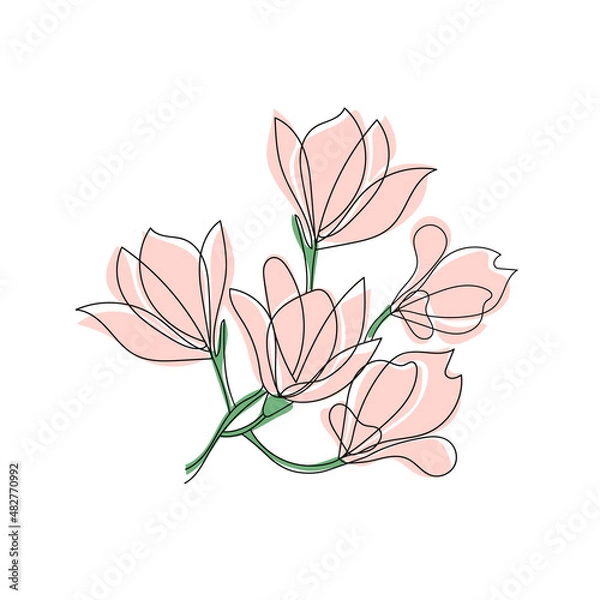 Obraz Cute outline drawing of blooming magnolia twig.Vector aesthetic contour illustration