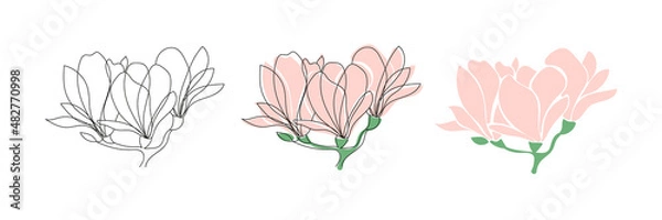 Obraz Set of three Cute blooming magnolia twig.Vector outline and flet illustrations.