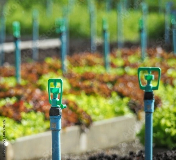 Obraz meter on the street