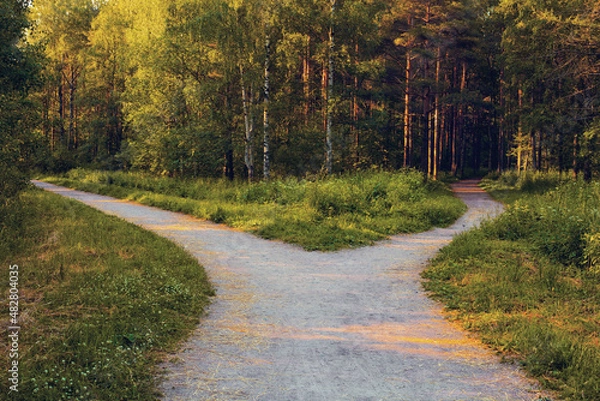 Obraz Divergence of directions. A wide path in the park is divided into two alleys leading in different directions in the rays of sunset.