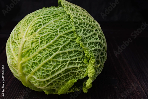 Obraz ちじれキャベツ