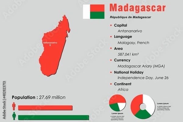 Obraz Madagascar infographic vector illustration complemented with accurate statistical data. Madagascar country information map board and Madagascar flat flag