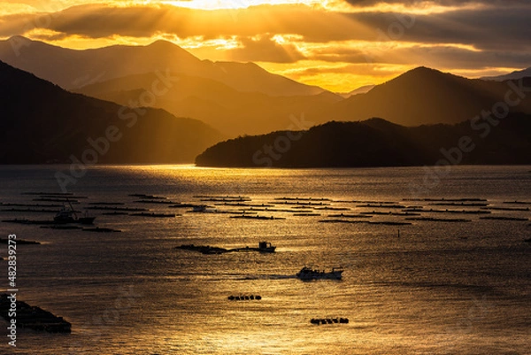 Obraz 愛媛県、夜明けの宇和島・2022年冬