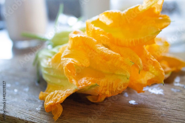 Obraz Flor de abobrinha