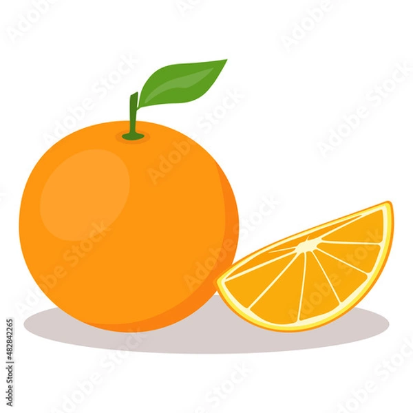 Fototapeta Fresh whole orange and sliced orange. Vector illustration isolated on white background.