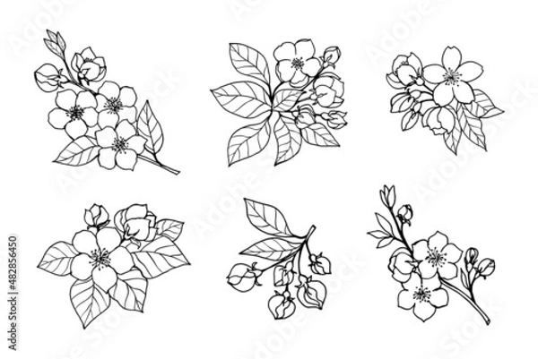 Fototapeta A set of flowering branches of apple, cherry, sakura, almond with flowers, buds, leaves, freehand drawing with a liner.
