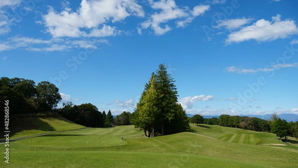 Obraz Golf field and blue sky