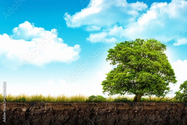 Fototapeta soil deep layers cross section