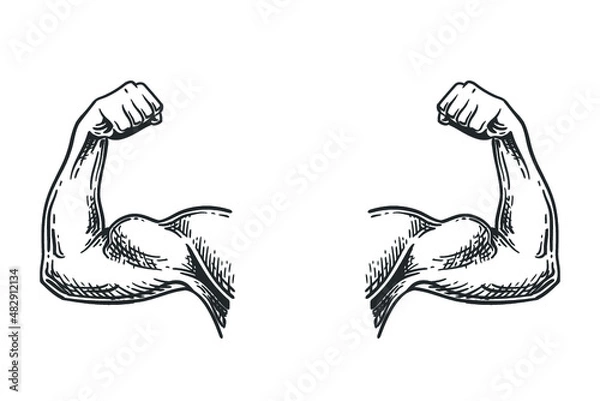 Fototapeta Muscular hands arms of strong man bodybuilder sketch engraving vector illustration. Bodybuilder muscle flex arm. Strong macho biceps.