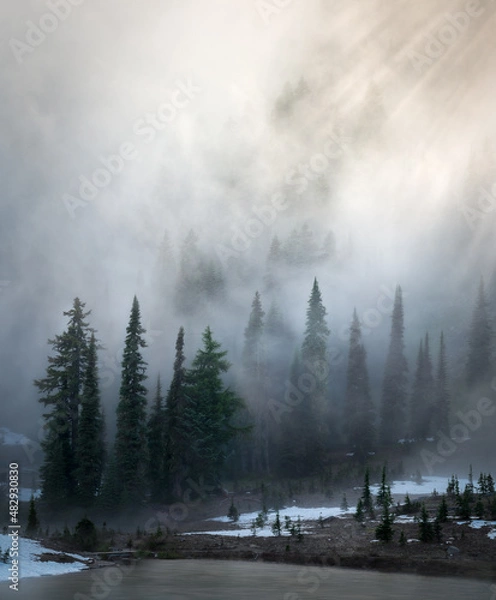 Fototapeta fog in the mountains