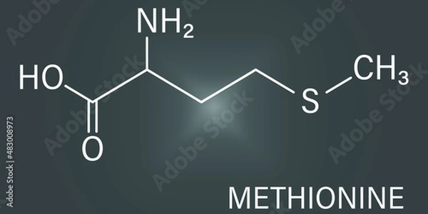 Fototapeta Methionine or l-methionine, Met, M amino acid molecule. Skeletal formula.