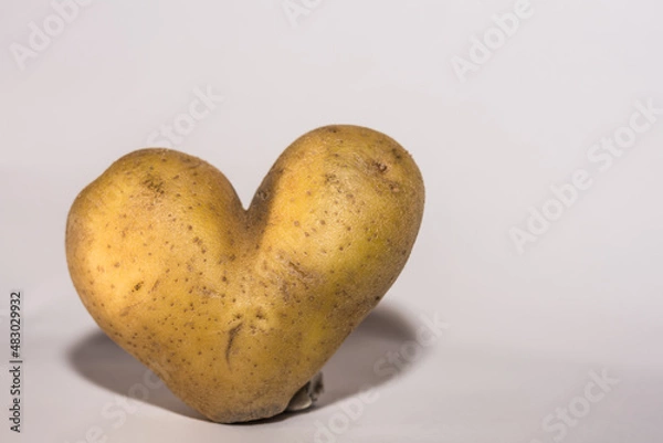 Fototapeta potatoe with form of a heart and gray background large