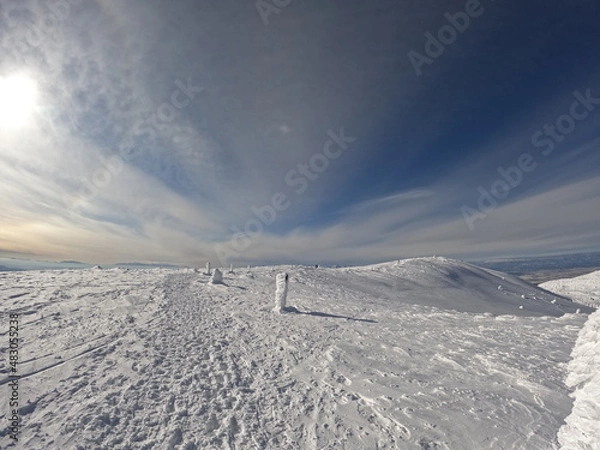 Fototapeta 2月の蔵王 雪景色