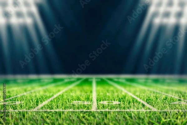 Fototapeta Perspective of football field. Football stadium with white lines marking the pitch. Perspective elements.Ragby football field with white lines marking the pitch. 3d illustration.
