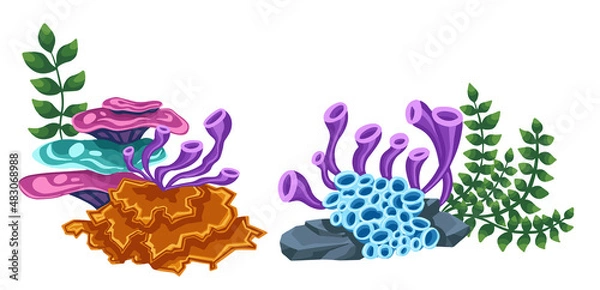 Fototapeta Set of marine plants, hand drawn algae. Vector illustration