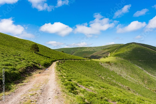 Fototapeta カミーノ　サンティアゴへの道