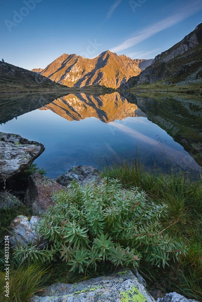Fototapeta Quiet mountain place with the peaks reflected in the Bos lake  water, Adamello Park, Saviore dell'Adamello, Lombardy, Italy.