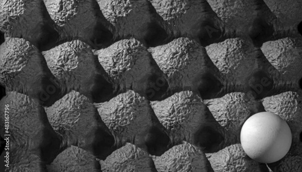 Obraz chicken egg contrast packaging