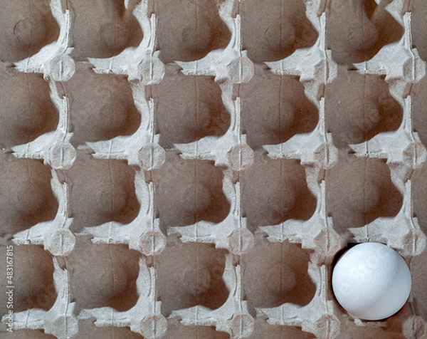 Obraz chicken egg one pack