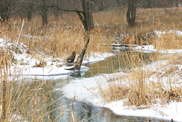 Fototapeta river in winter	