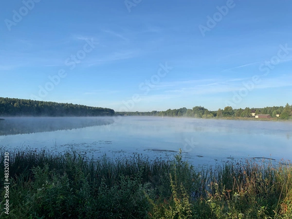 Obraz lake in the forest