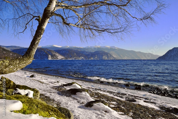 Fototapeta The shore of a mountain lake