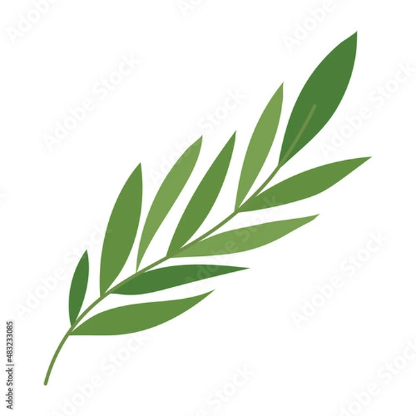 Fototapeta green leaves branch design